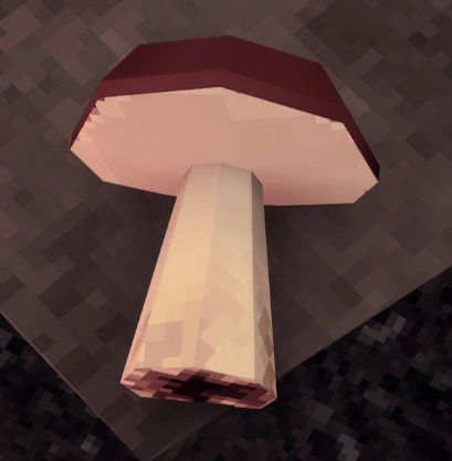 File:Mushroom Cooked.png