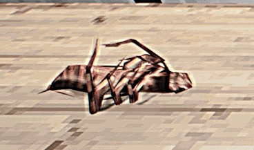 File:Raw cockroach.png