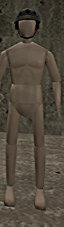 A Player wearing an Assault Helmet.