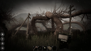 Overgrown .jpg