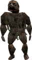 Swamper