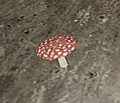 Thumbnail for version as of 20:54, 23 June 2026