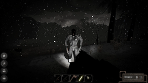 Bandit at night.jpg