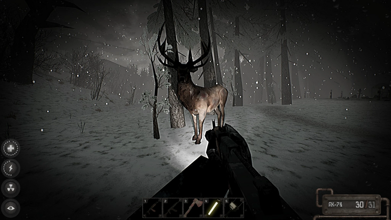 File:Deerstare.jpg