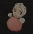 Thumbnail for version as of 20:54, 23 June 2026