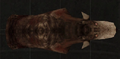 Thumbnail for version as of 20:54, 23 June 2026